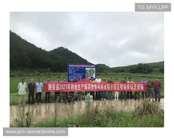 金沙777888最新版本更新内容中修复的主要问题和安全保障措施