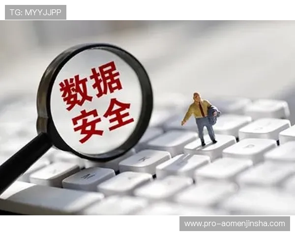 金沙国际网站安全保障措施解析，确保玩家个人信息与资金安全无忧